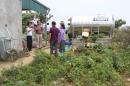 Mô hình trồng rau hữu cơ tại tỉnh Hòa Bình
