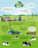 Thu hồi khí biogas từ phân bò giảm thiểu mùi hôi thối và tạo ra nguồn năng lượng  cung ứng cho 1000 hộ.