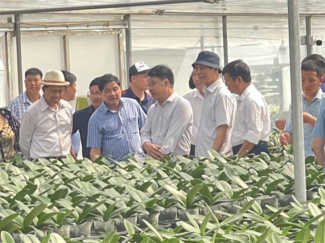https://vacvina.org.vn/Site/