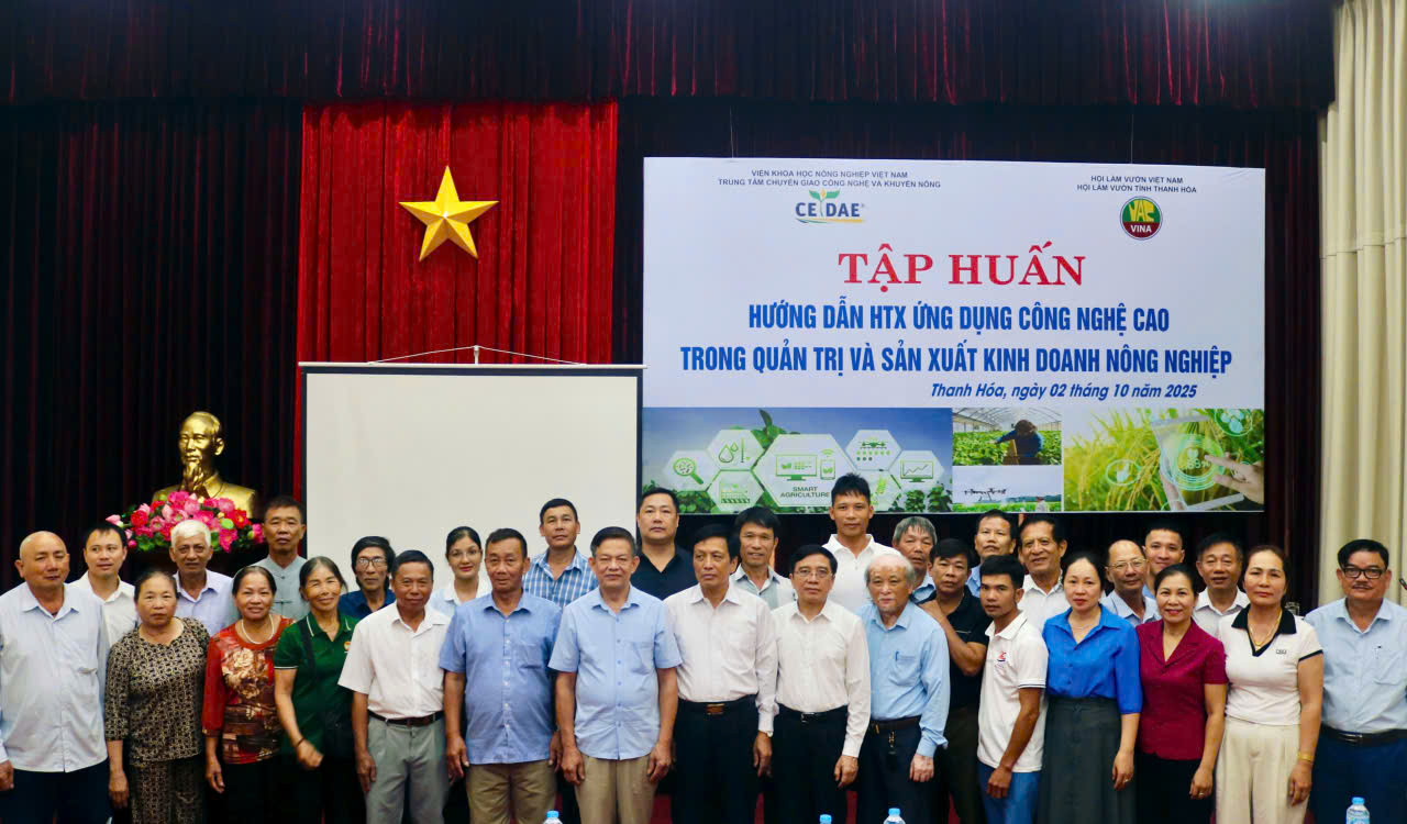 Thanh