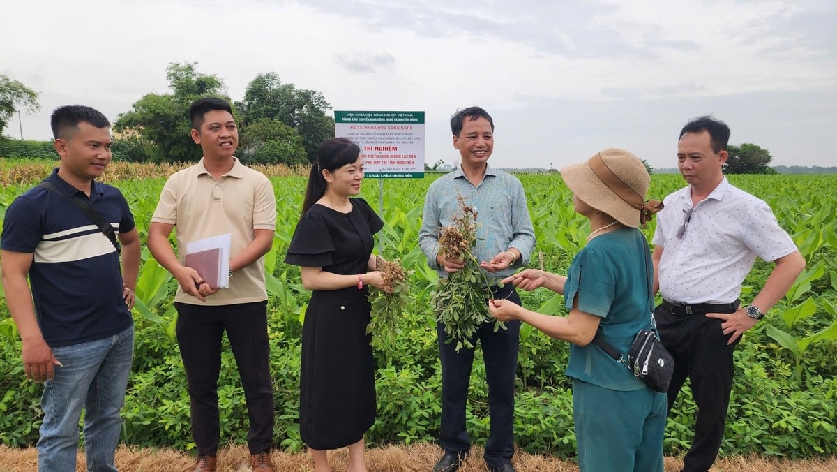 Trồng
