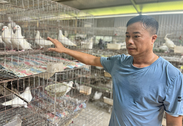 Biến