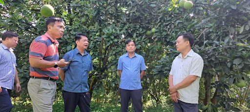 Xuân