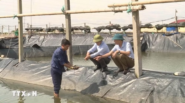 Nghề