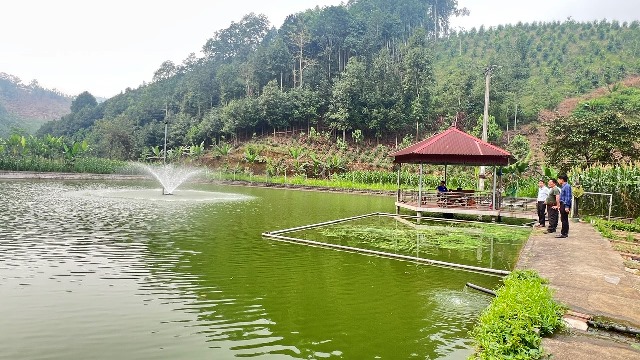 Bảo