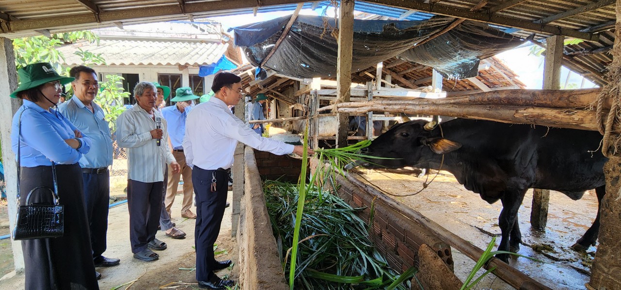 Liên