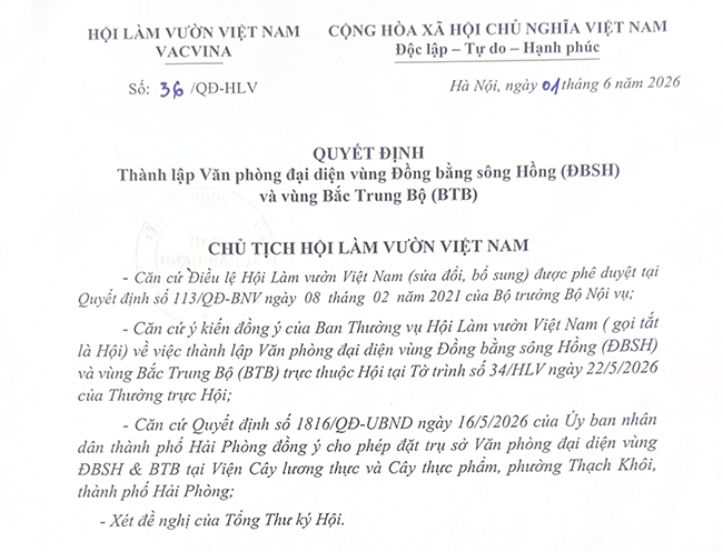 Hội