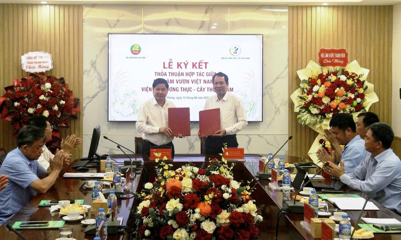 Hội