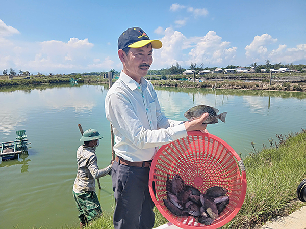 Những