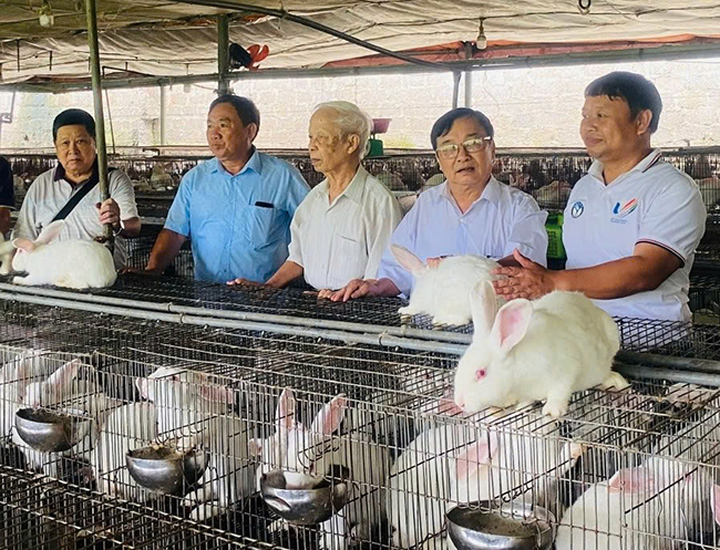 Giải