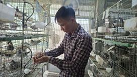 Hiệu
