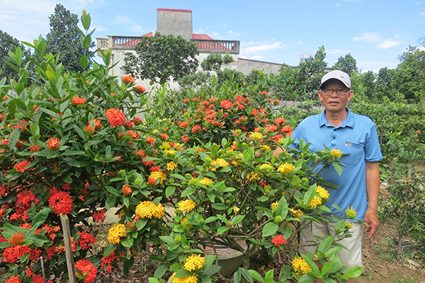 Hội
