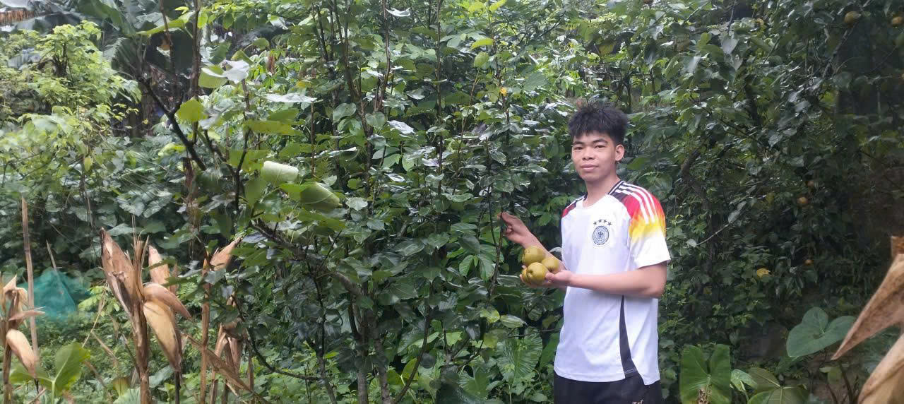 Trồng