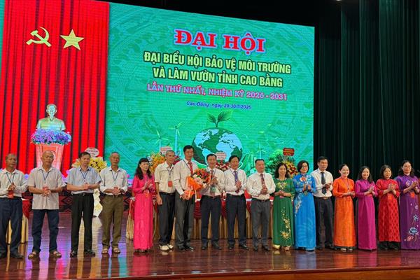 Hội