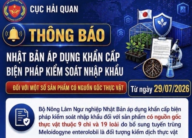 Hải