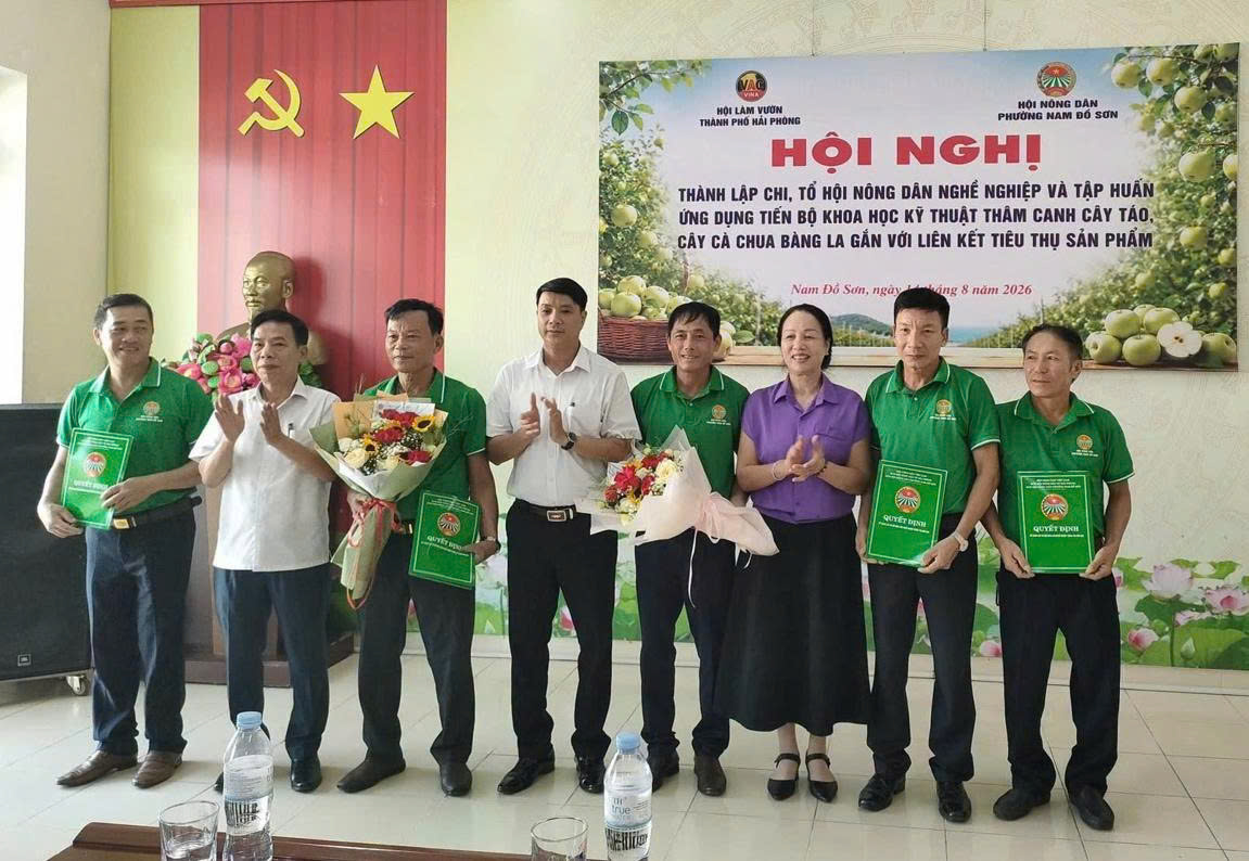 Hải