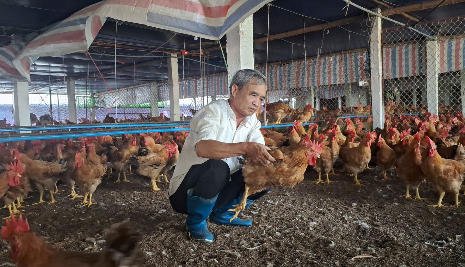 Tăng