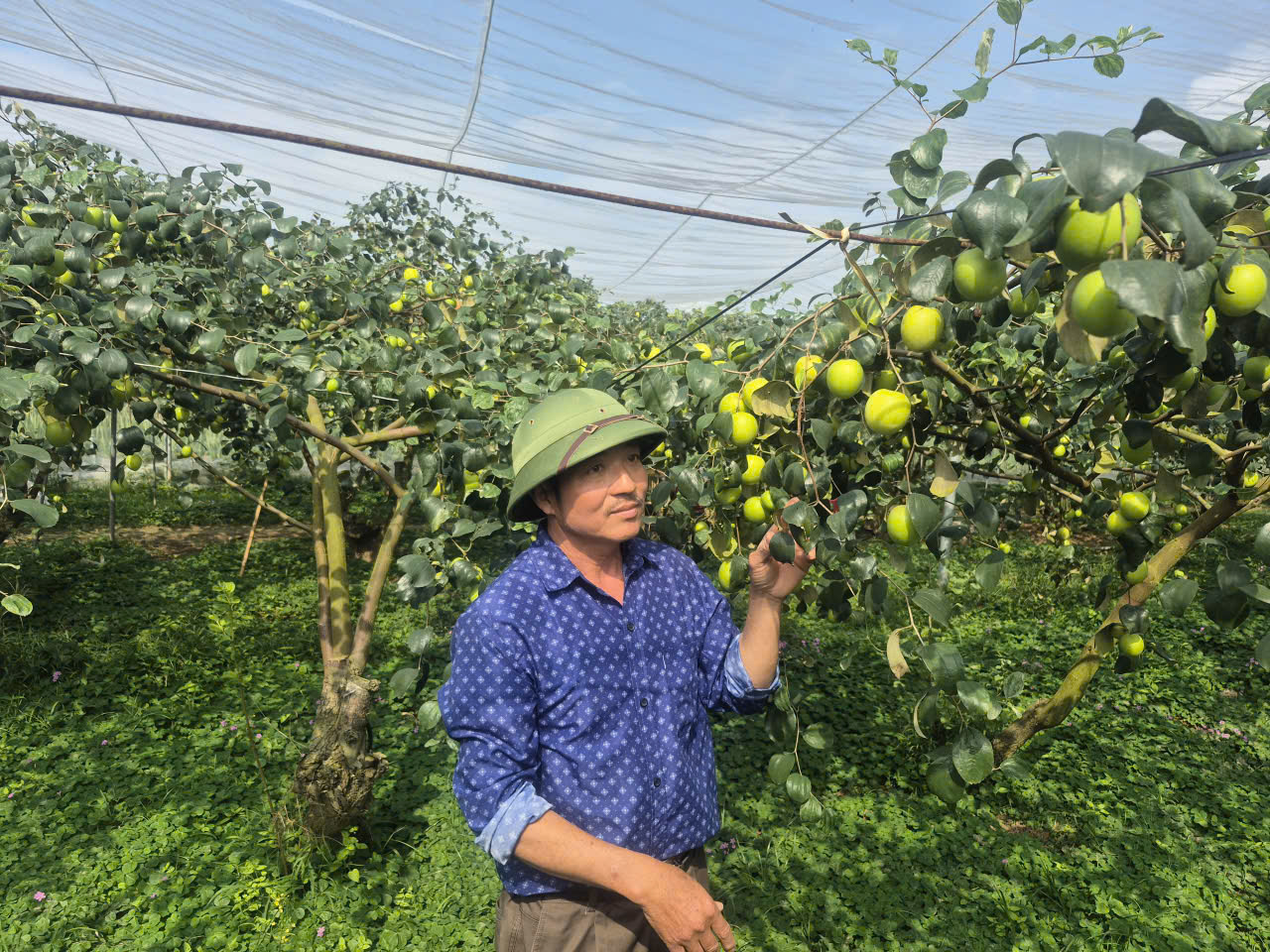 Ninh
