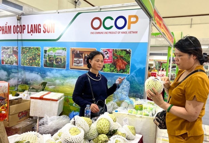 Bộ