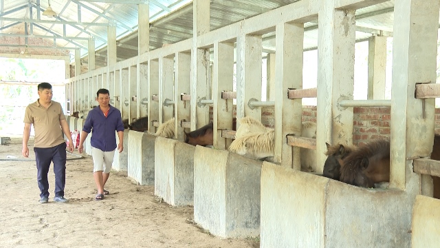Chăn
